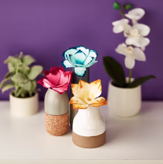 Steam Paper Flower Science Coloring Kit
