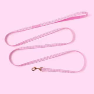 Stoney Clover Lane x Target Gingham Dog Leash