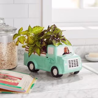 Drummond Truck Novelty Planter