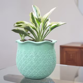 12" Geo Resin Planter