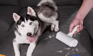Pet Hair Remover