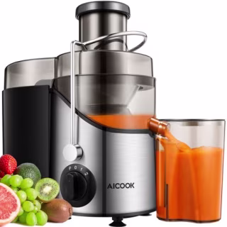Stainless Steel Juicer Extractor