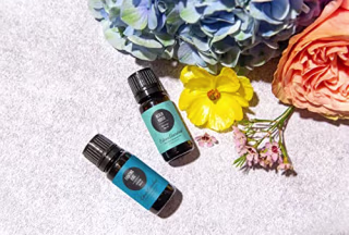 Edens Garden Beach House Essential Oil Synergy Blend, 100% Pure Therapeutic Grade (Undiluted Natural/ Homeopathic Aromatherapy Scented Essential Oil Blends) 10 ml