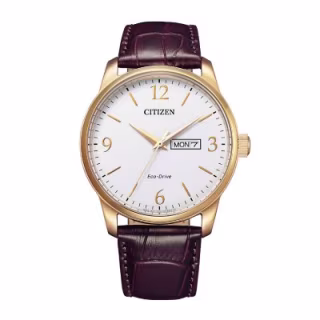 Mens 42mm Classic Brown Leather Watch