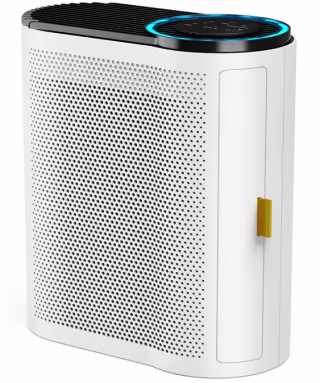 Air Purifier for Large Room