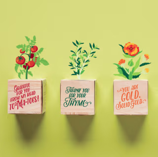Appreciation Plant Cube