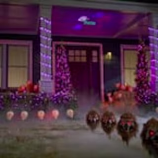 100-Count Purple and Orange LED Halloween Lights