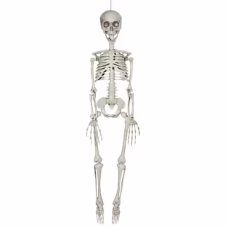 Way to Celebrate 35" Skeleton White Halloween Decoration