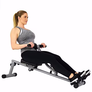 Sunny Health & Fitness SF-RW1205 Rowing Machine