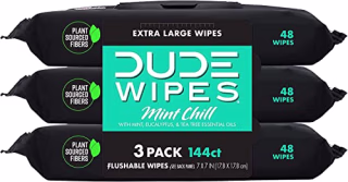 DUDE Wipes Flushable Wet Wipes