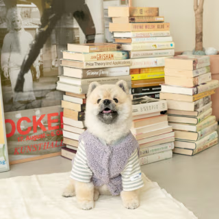 Tobi Fleece Varsity Jacket