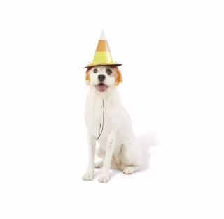 Candy Corn Witch Costume
