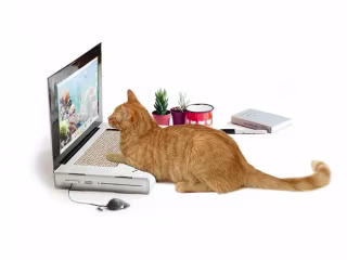Laptop Cat Scratching Pad