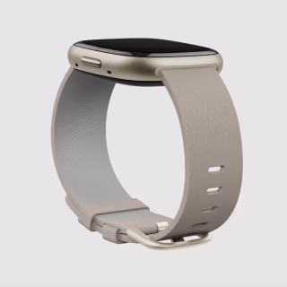 Vegan Leather Fitbit Band