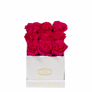 Venus Et Fleur Mini Square