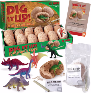 Dig It Up! Dinosaur Eggs
