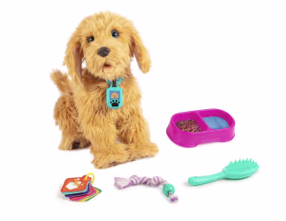 The Lovable Labradoodle