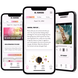 the CHANI APP