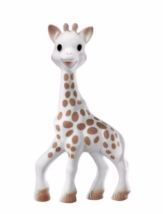 Baby Teether