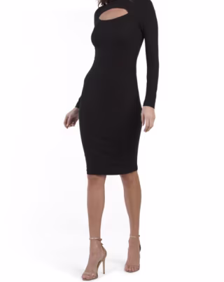 Lined Long Sleeve Ribbed Dress