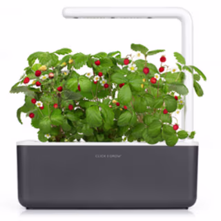 Click & Grow Smart Garden 3 Self Watering Indoor Garden in Grey at Nordstrom