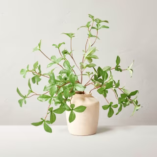 Faux Gypsophila Leaf Arrangement Hearth & Hand with Magnolia