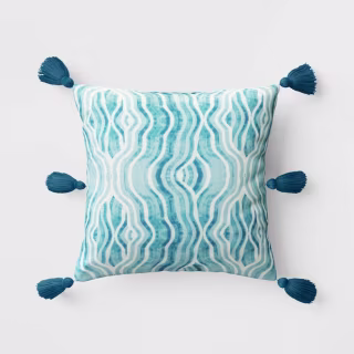 Outdoor Throw Pillow with Tassels Opalhouse designed with Jungalow