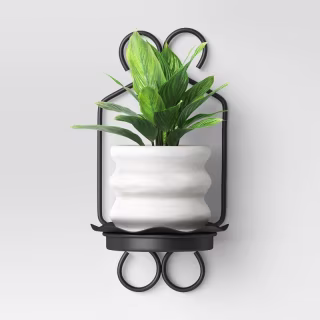 16" Iron Outdoor Wall Planter Black Opalhouse designed with Jungalow