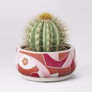 3.94" Earthenware Warm Patterned Indoor/Outdoor Planter Opalhouse designed with Jungalow