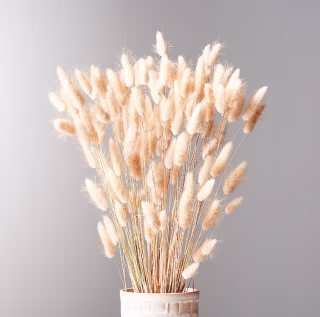 Bunnies Tail Taupe Bunch 28"