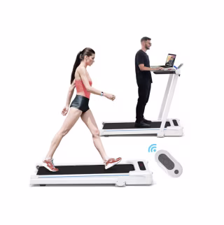 Treadmill Desk