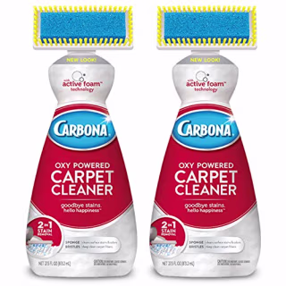 Carbona Carpet Cleaner with Brush