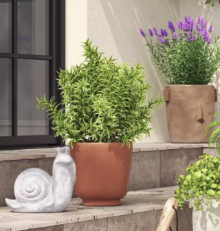 Terracotta Outdoor Planter