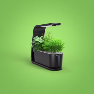 Introducing The AeroGarden Sprout