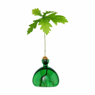 Acorn Vase