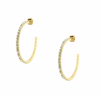 Small Hoop Earrings