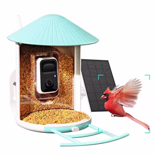 Birdfy Lite- Smart Bird Feeder