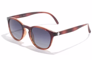 Polarized Sunglasses