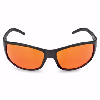 Spectra479 Blue Light Glasses