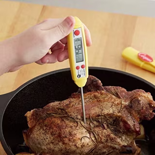 Cooper-Atkins DPP800W MAX Digital Thermometer with Long Probe, Long Probe Thermometer (Waterproof Thermometer, Auto Shutoff, Temperature Memory)
