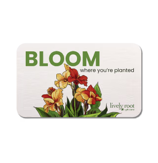 Lively Root Gift Card