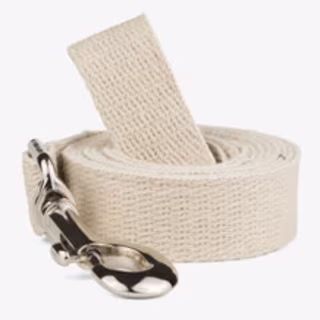 If It Barks Hemp Dog Leash