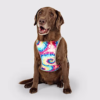 Canada Pooch Chill Seeker Cooling Vest