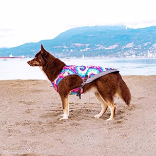 Canada Pooch Chill Seeker Cooling Vest