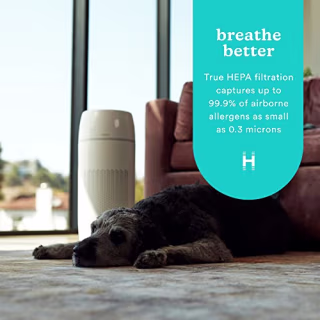 HoMedics TotalClean PetPlus 5-in-1 Air Purifierwith UV-C Light