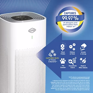 Clorox Medium Room Air Purifier