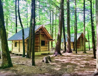TimberTown Cabin at June Farms