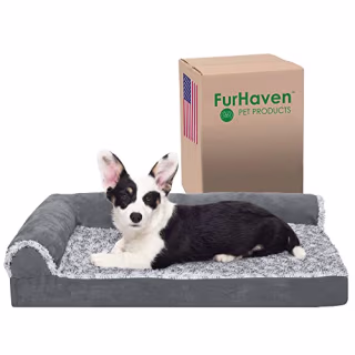 Furhaven Medium Orthopedic Dog Bed