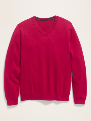 Solid V-Neck Sweater for Boys
