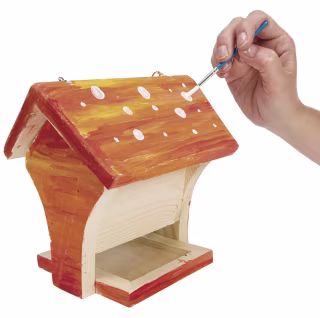 Beetle & Bee Bird Feeder Kit